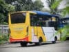 HUT ke-33 Kota Tangerang, Bus Tayo dan Si Benteng gratis di semua rute pada 28 Februari 2026 bagi seluruh warga.
