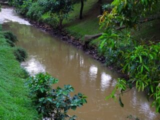 DLH Tangsel Ungkap Hasil Uji Air dan Udara Setelah Kebakaran Gudang Pestisida di Setu