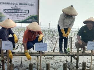 Peduli Lingkungan, PT BSI Rehabilitasi Pantai Tangerang Lewat Penanaman Mangrove