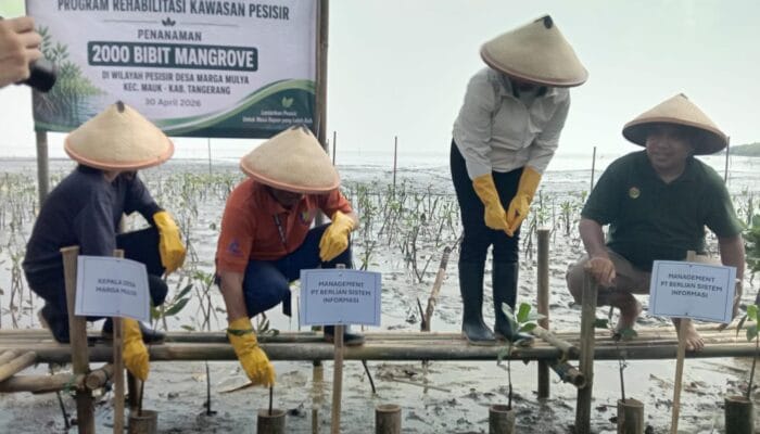 PT BSI tanam 2.000 mangrove di Mauk, Tangerang, lewat program CSR guna pulihkan ekosistem pesisir dan cegah abrasi.