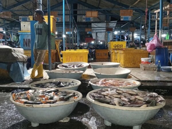Meski BBM Stabil, Harga Ikan di Tangerang Bertahan Tinggi