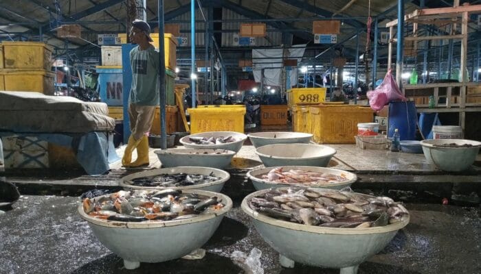 Harga ikan di TPI Cituis Tangerang masih tinggi akibat kenaikan harga plastik. Pedagang sesuaikan harga meski aktivitas tetap normal.