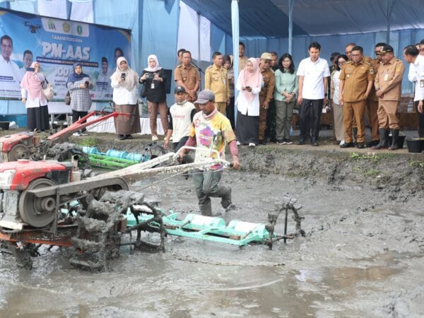 Target 10 Ton per Hektar! Agis Gaspol Modernisasi Sawah, Kota Serang Disiapkan Jadi Pilot Project Lumbung Pangan
