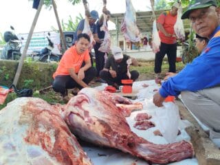 Monitoring Tebar Kurban Kita Bisa 2026, Agis Kawal Distribusi 1.158 Hewan Kurban di Banten
