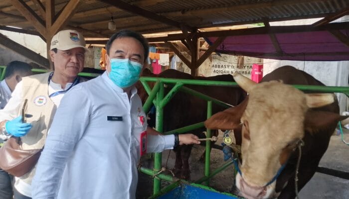 Sekda Tangerang turun langsung memantau pemeriksaan hewan kurban di Cikupa untuk memastikan kondisi sehat dan memenuhi standar ASUH.