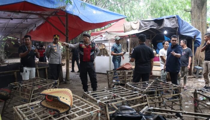 Berawal dari laporan warga, polisi menggerebek arena judi sabung ayam di Jayanti dan mengamankan dua terduga pelaku.