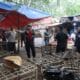 Berawal dari laporan warga, polisi menggerebek arena judi sabung ayam di Jayanti dan mengamankan dua terduga pelaku.