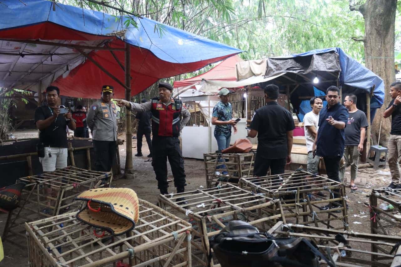 Berawal dari laporan warga, polisi menggerebek arena judi sabung ayam di Jayanti dan mengamankan dua terduga pelaku.