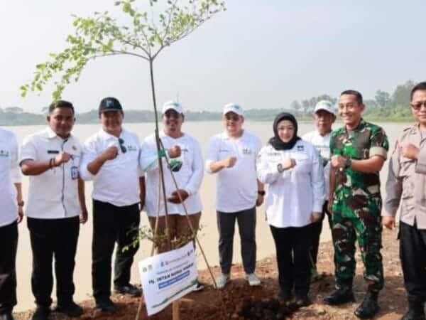 Aksi Hijau di Tangerang Raya, Gerakan Banten Teduh Tangerang Sejuk Kejar Target 1 Juta Pohon