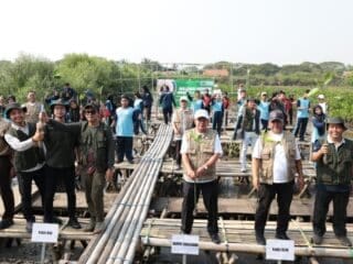 Lanjutkan Rehabilitasi Pesisir, PT IKPP Tangerang Sudah Tanam 183 Ribu Mangrove