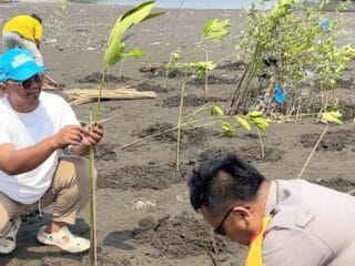 Ribuan Mangrove Ditanam di Pesisir Utara Tangerang, Upaya Cegah Abrasi dan Krisis Iklim