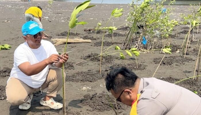 Ribuan bibit mangrove ditanam di Desa Muara Teluknaga sebagai upaya pelestarian pesisir dan mitigasi perubahan iklim.