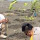 Ribuan bibit mangrove ditanam di Desa Muara Teluknaga sebagai upaya pelestarian pesisir dan mitigasi perubahan iklim.