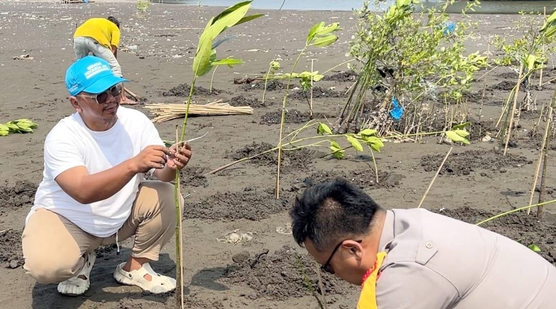Ribuan bibit mangrove ditanam di Desa Muara Teluknaga sebagai upaya pelestarian pesisir dan mitigasi perubahan iklim.