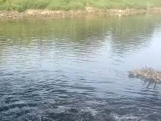 Sungai Cisadane Berubah Hitam, Andra Soni Perintahkan Tindakan Tegas
