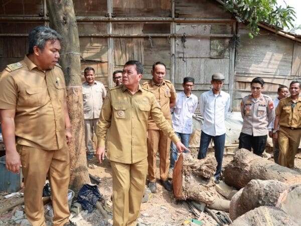 Pohon Kedondong Tumbang di Teluknaga Tewaskan Warga, Bupati Maesyal Turun Tangan
