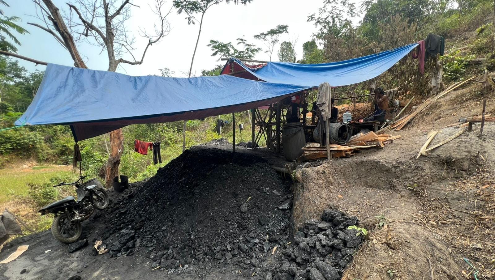 Lima lubang tambang batubara ditemukan di Cihara, Lebak. Polda Banten menyelidiki dugaan aktivitas pertambangan tanpa izin.