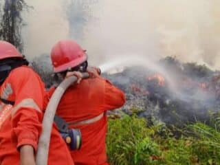 MUI Minta Pemerintah Bertindak Cepat Atasi Karhutla dan Kabut Asap