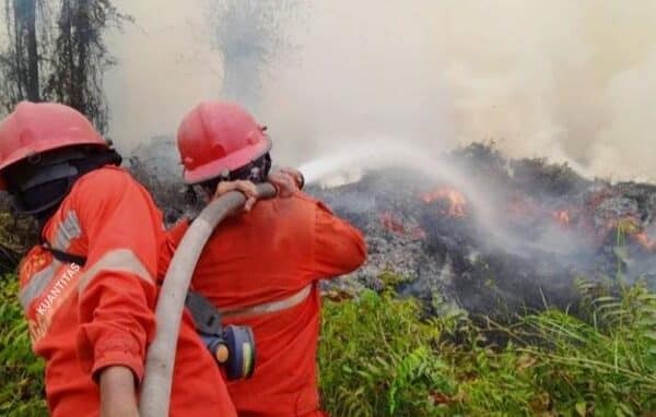 MUI Minta Pemerintah Bertindak Cepat Atasi Karhutla dan Kabut Asap
