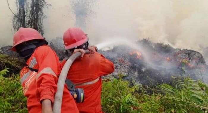 MUI mengimbau masyarakat menjaga kesehatan di tengah kabut asap karhutla serta meminta penegakan hukum tegas terhadap pelaku pembakaran.