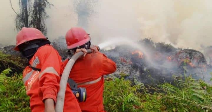 MUI mengimbau masyarakat menjaga kesehatan di tengah kabut asap karhutla serta meminta penegakan hukum tegas terhadap pelaku pembakaran.