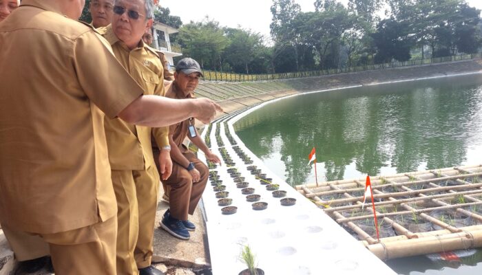 Pemkot Tangsel menguji varietas Inpari 32 di Tandon Ciater sebagai alternatif budidaya pangan di tengah keterbatasan lahan pertanian.