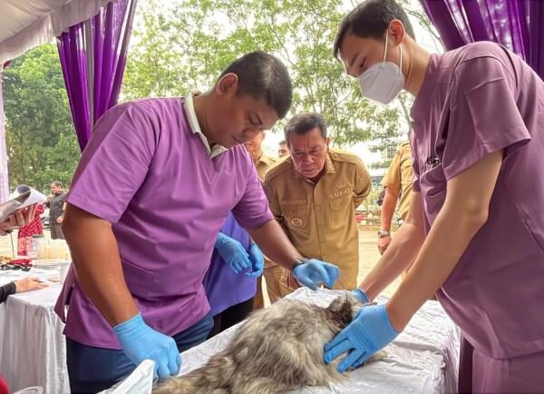 Cegah Penularan Rabies, Pemkab Tangerang Sediakan Vaksinasi dan Pemeriksaan Hewan Gratis