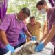 Pemkab Tangerang menyediakan vaksinasi rabies dan pemeriksaan kesehatan hewan gratis untuk mencegah penularan penyakit rabies.