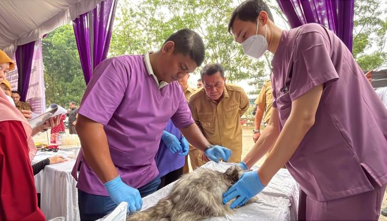 Pemkab Tangerang menyediakan vaksinasi rabies dan pemeriksaan kesehatan hewan gratis untuk mencegah penularan penyakit rabies.